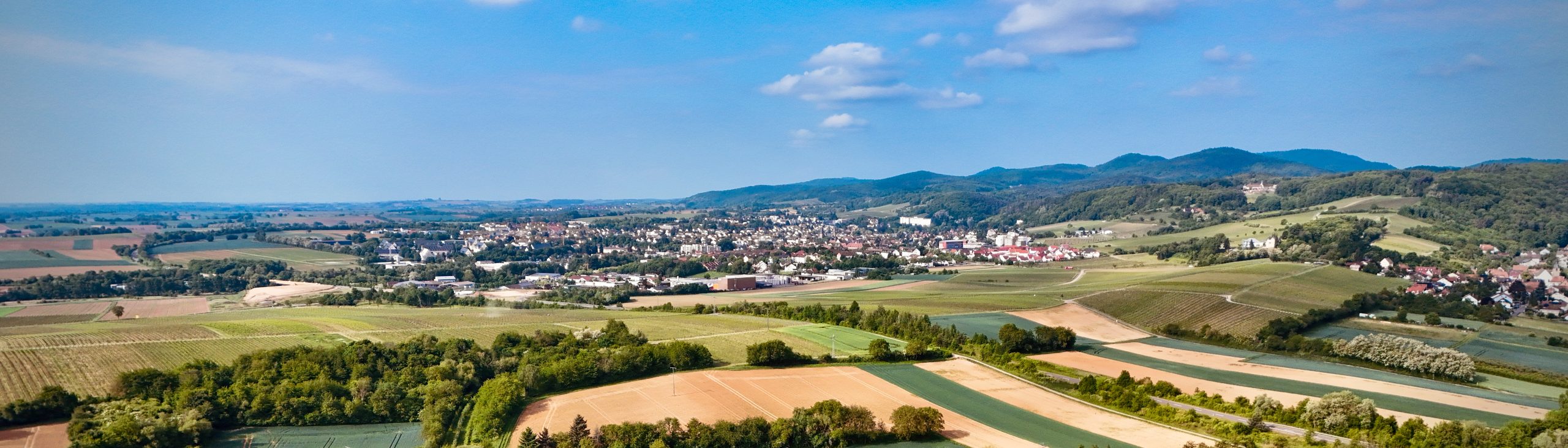 Bad Bergzabern Luftaufnahme Pfalz Südpfalz Landschaft Weinberge Panorama